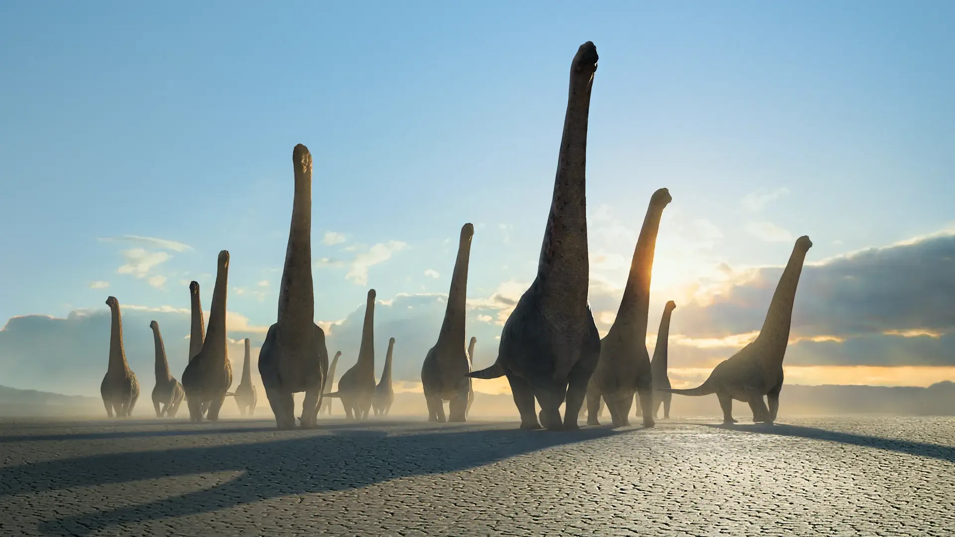 Prehistoric Planet 4K Ultra HD PC desktop wallpaper: a herd of long-neck sauropods walks across a misty shoreline at sunrise, casting long shadows on textured ground.