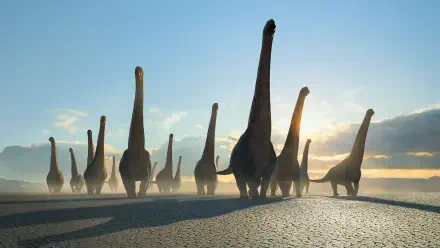 Prehistoric Planet 4K Ultra HD PC desktop wallpaper: a herd of long-neck sauropods walks across a misty shoreline at sunrise, casting long shadows on textured ground.