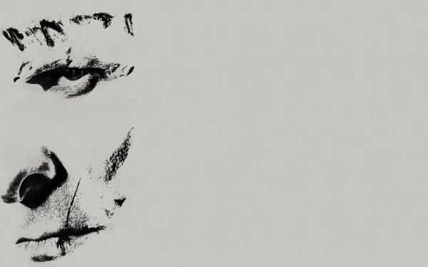 The Bride! 4K Ultra HD PC desktop wallpaper and background: minimalist high-contrast ink portrait of a bride's face emerging from the left on a pale background.