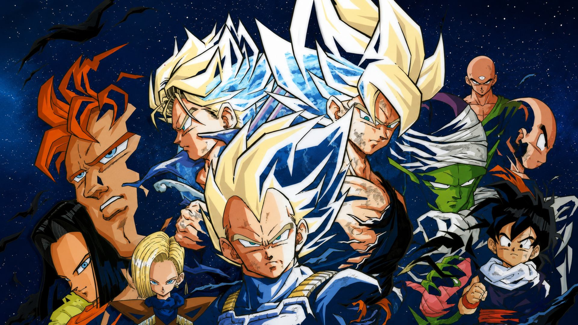 HD PC Dragon Ball Z desktop wallpaper showing Goku, Vegeta and Trunks in Super Saiyan form with Android 16 and other Z fighters posed against a starry night sky.