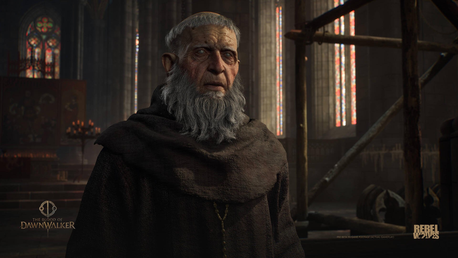 4K Ultra HD portrait of a bearded man from the video game The Blood of Dawnwalker — solemn elder in dark robes, cathedral-lit background, PC desktop wallpaper.