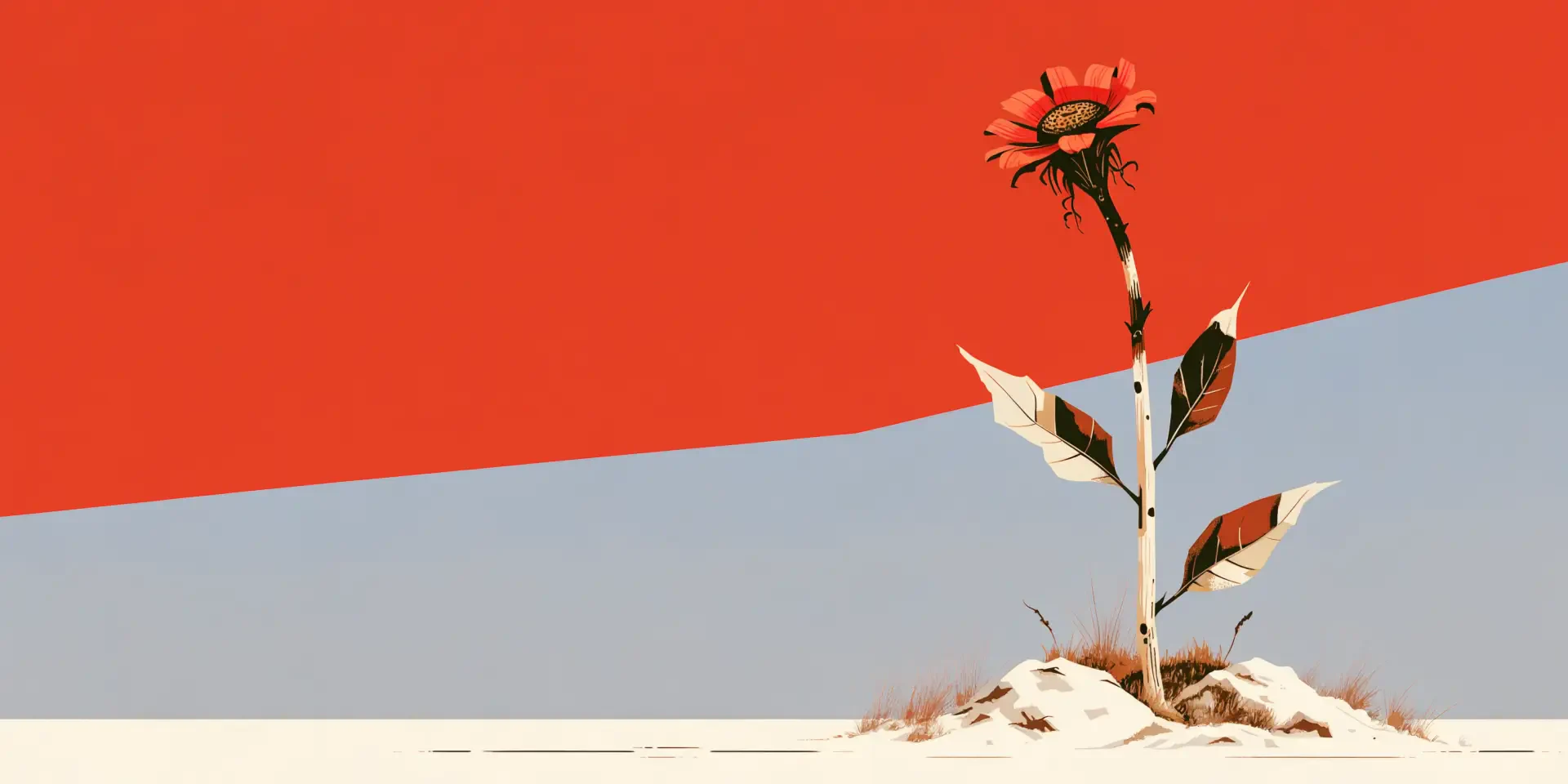 2K Quad HD PC desktop wallpaper and background depicting a lone dried flower on a sandy dune against a bold red band and pale blue sky, minimalist floral scene.