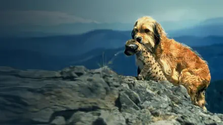 Benji: The Hunted — 4K Ultra HD PC desktop wallpaper depicting a golden dog carrying a fawn on a rocky cliff with misty blue mountains in the background.