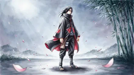 Itachi Uchiha anime warrior standing amid falling cherry petals on a misty bamboo shore — dramatic 4K Ultra HD PC desktop wallpaper and background.