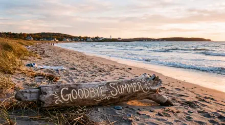 5K Ultra HD PC desktop wallpaper: sandy beach at sunset with driftwood log painted Goodbye Summer resting near the shoreline as gentle waves lap the shore.