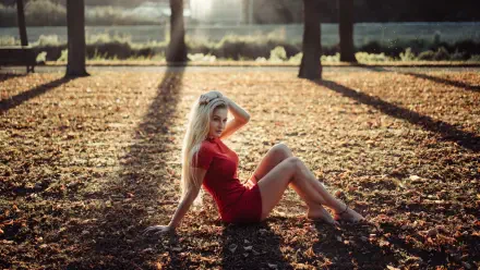 Female model in a red dress sits on a sunlit forest floor during a photoshoot — 5K Ultra HD PC desktop wallpaper and background.