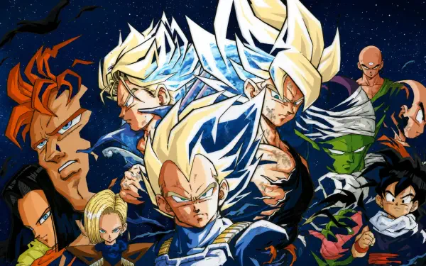 HD PC Dragon Ball Z desktop wallpaper showing Goku, Vegeta and Trunks in Super Saiyan form with Android 16 and other Z fighters posed against a starry night sky.