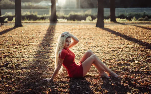 Female model in a red dress sits on a sunlit forest floor during a photoshoot — 5K Ultra HD PC desktop wallpaper and background.