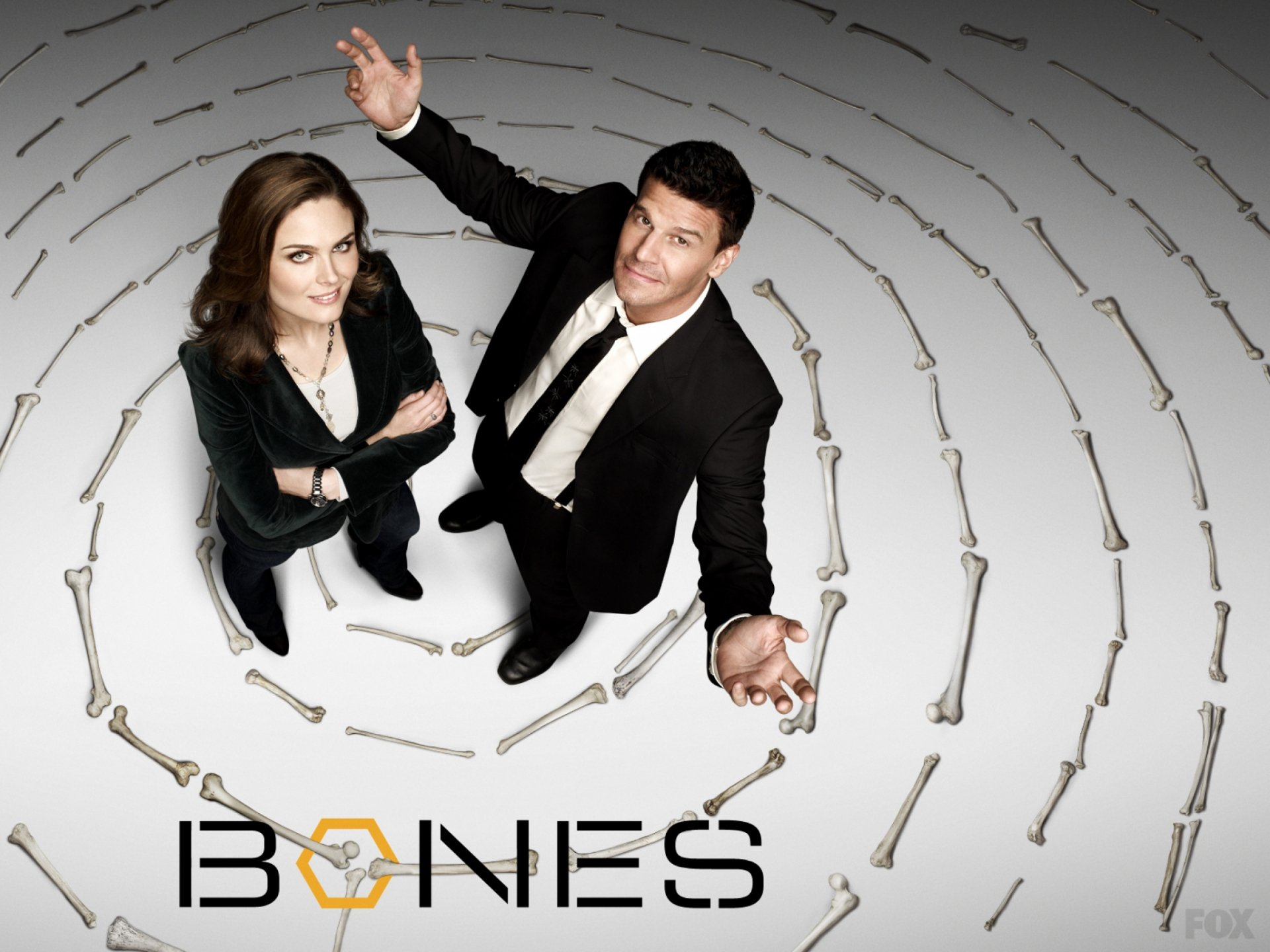 Download David Boreanaz Seeley Booth Emily Deschanel Temperance Brennan TV Show Bones HD Wallpaper