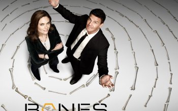 david boreanaz bones wallpaper