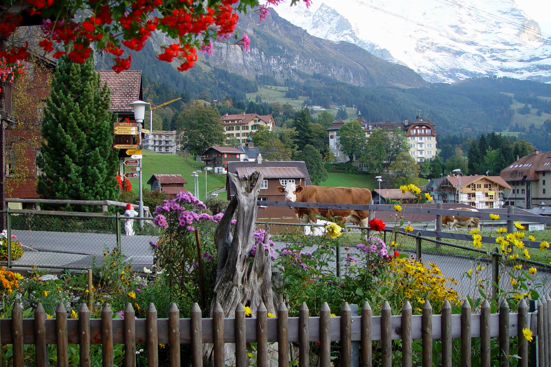 Wengen, Switzerland HD Wallpaper | Background Image | 1920x1280