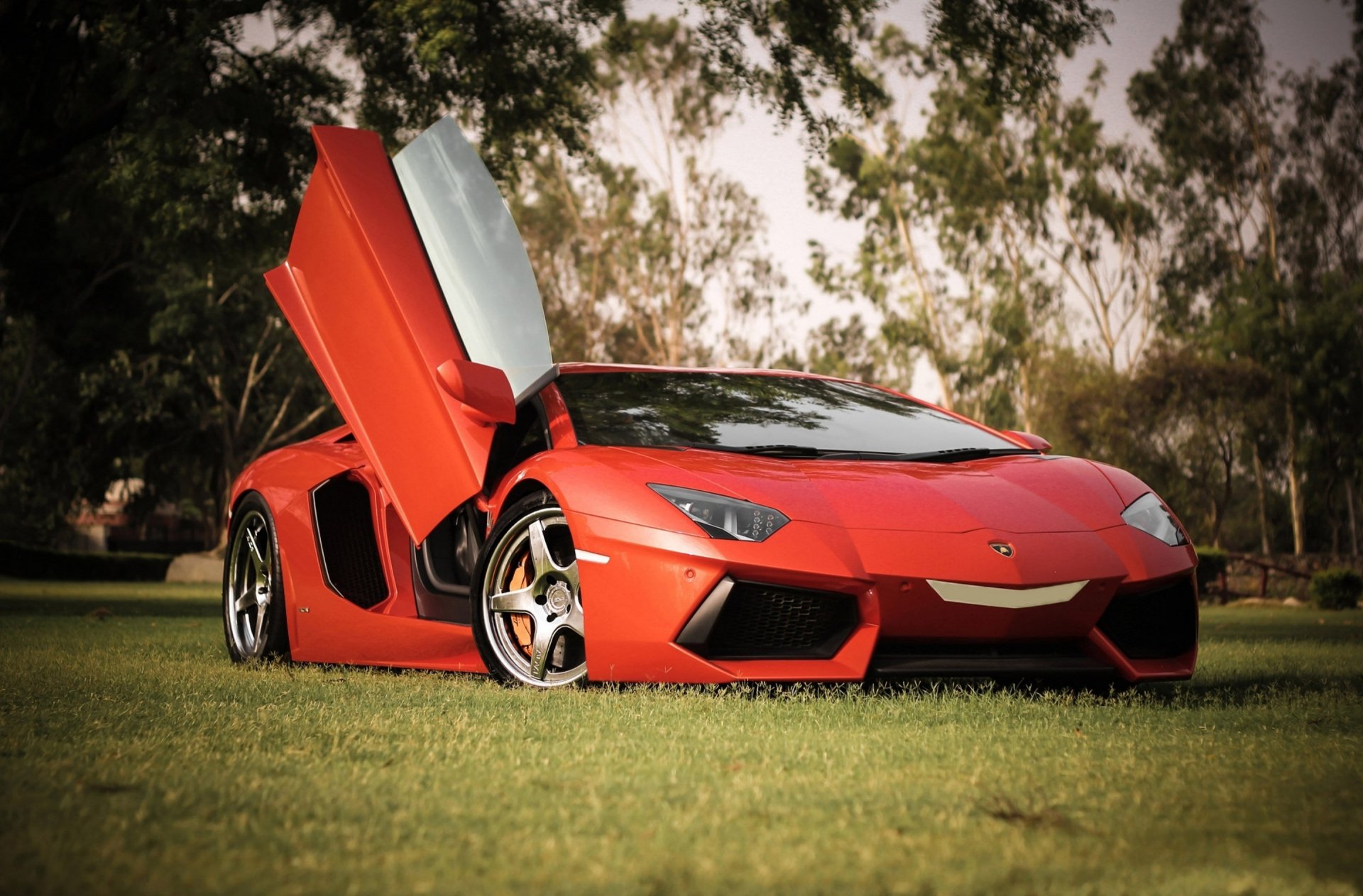 Vehicle: Red Lamborghini Aventador LP 700-4 with scissor door open on grass, photographed as a 2K Quad HD PC desktop wallpaper and background.