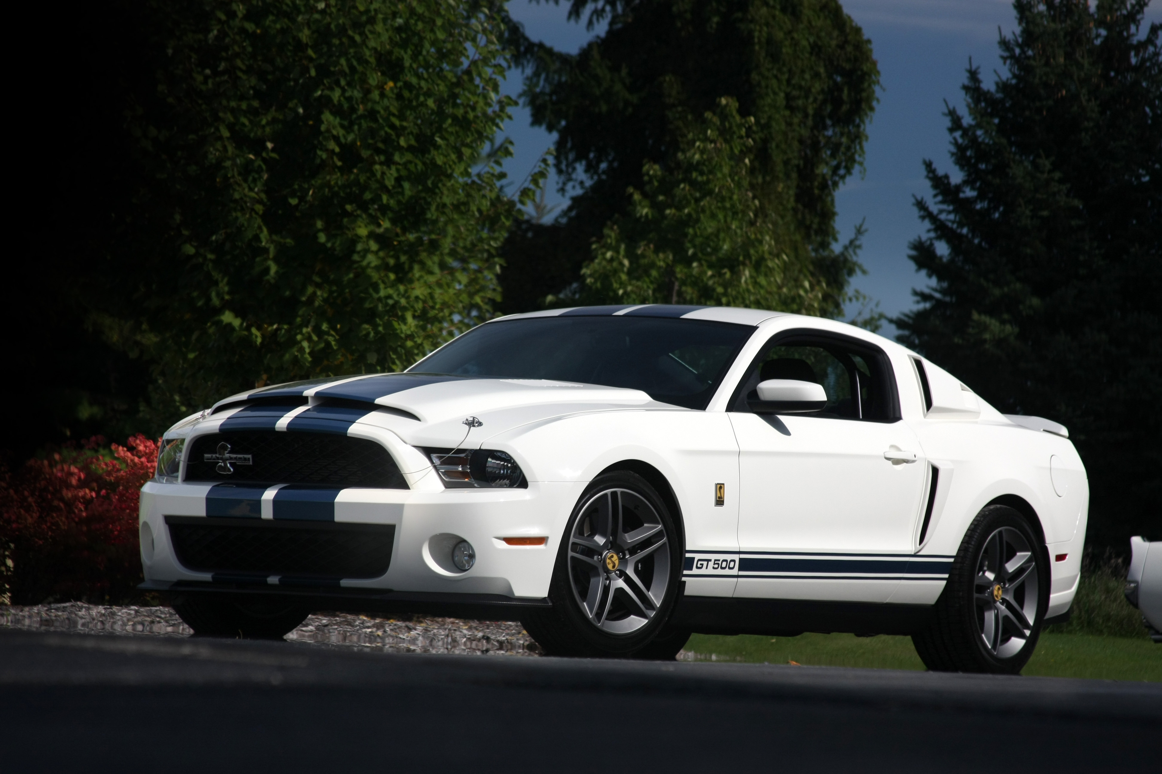 Форд Мустанг gt 500