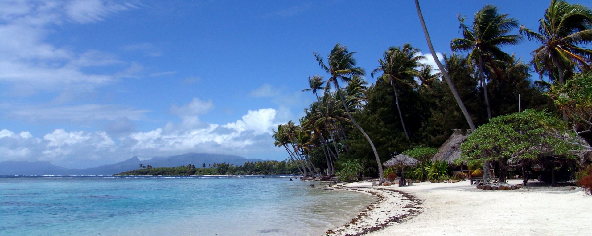 Download Photography Tropical Wallpaper