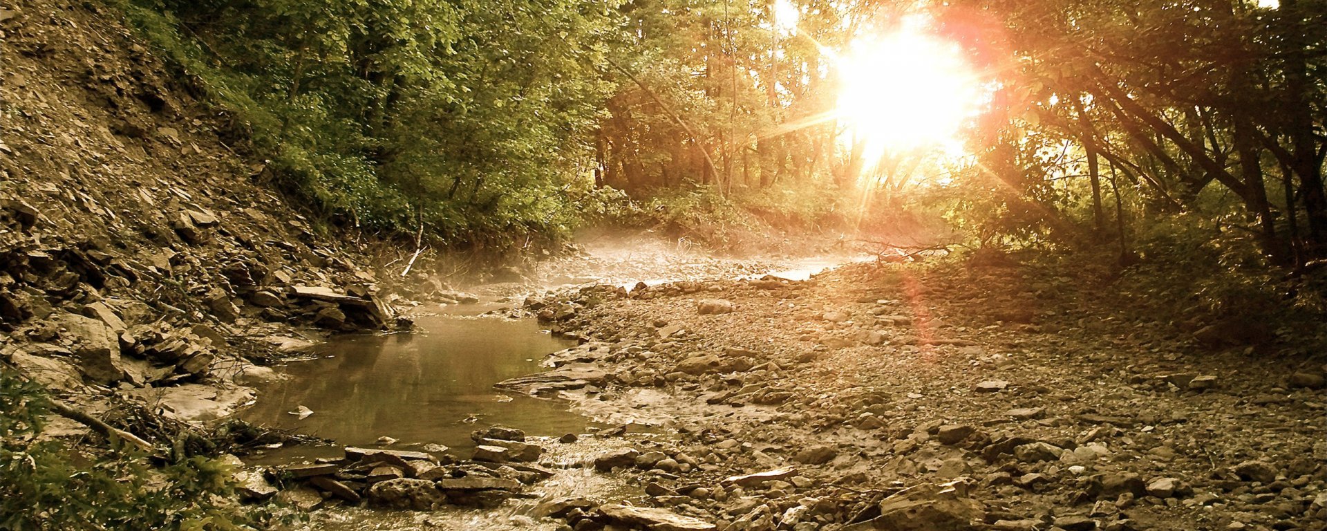 Download Nature Stream Wallpaper