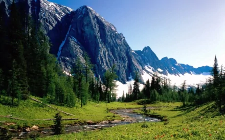 A stunning Canadian landscape featuring vibrant green grass, a serene stream, towering mountains, and patches of snow, surrounded by lush trees under a clear blue sky.