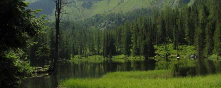 HD PC desktop wallpaper featuring a serene lake surrounded by lush green trees and mountains in a peaceful natural setting.