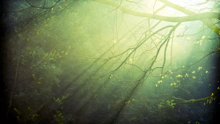 wilderness scenery nature sunbeam HD Desktop Wallpaper | Background Image