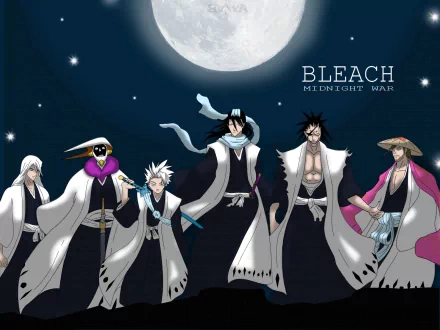 Mayuri Kurotsuchi Jūshirō Ukitake Kenpachi Zaraki Shunsui Kyōraku Tōshirō Hitsugaya Byakuya Kuchiki Anime Bleach HD Desktop Wallpaper | Background Image