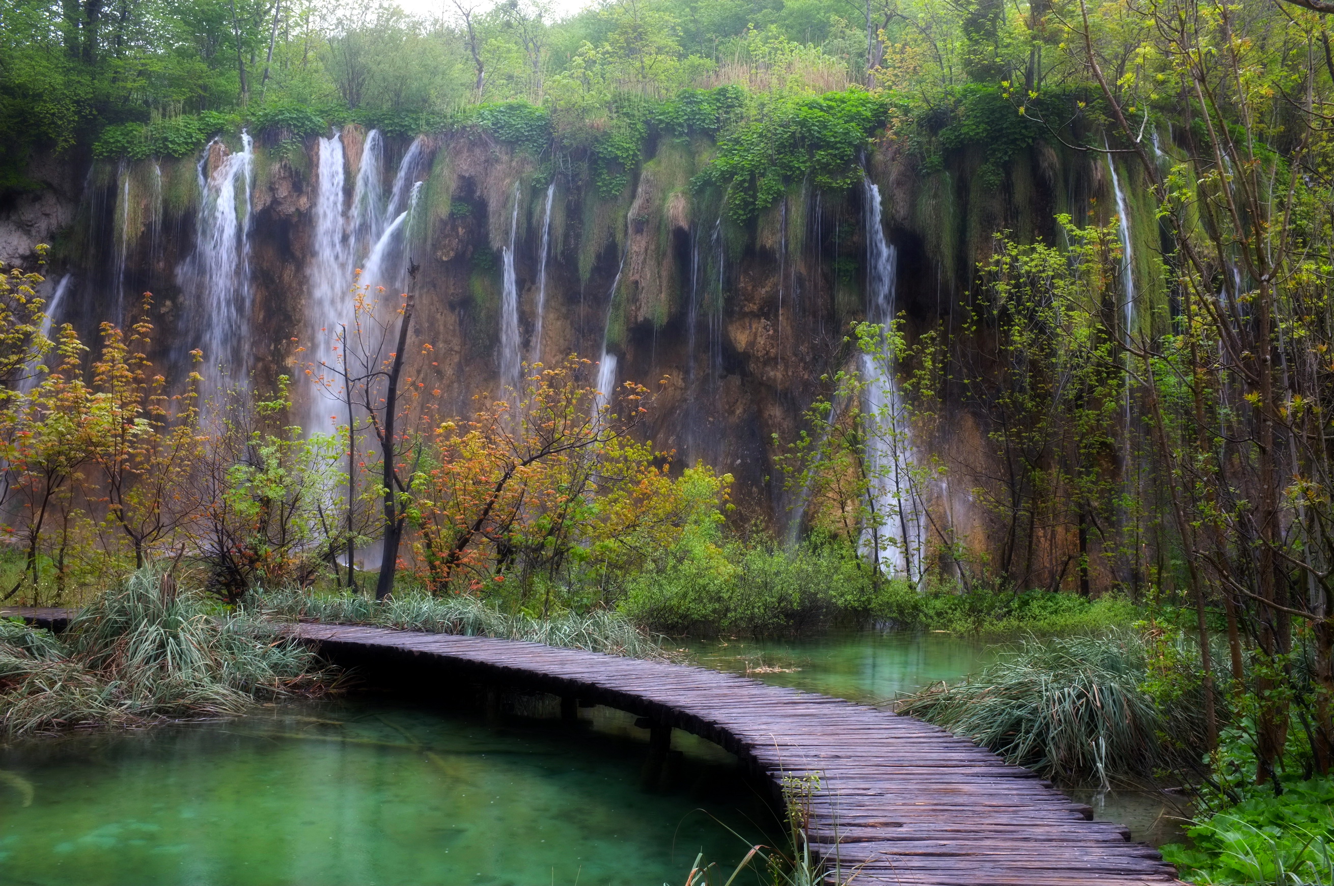Plitvice Lakes Full HD Wallpaper and Background Image | 2620x1740 | ID