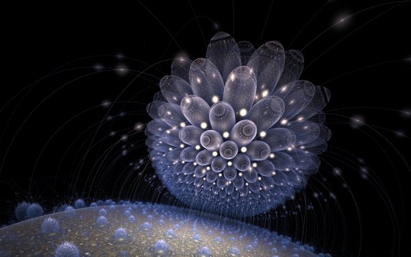 Abstract Fractal CGI HD Wallpaper | Background Image
