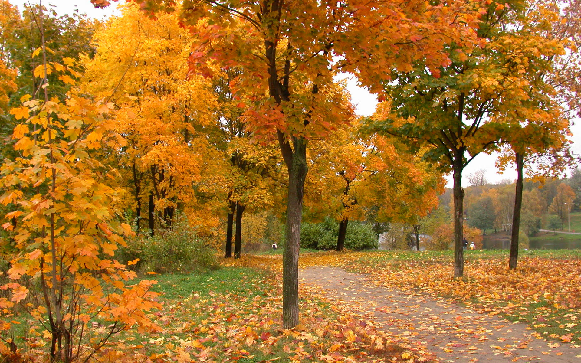 Sonbahar HD Duvar kağıdı Arka plan 1920x1200 ID354066 Sonbahar HD Duvar kağıdı Arka plan 1920x1200 ID354066