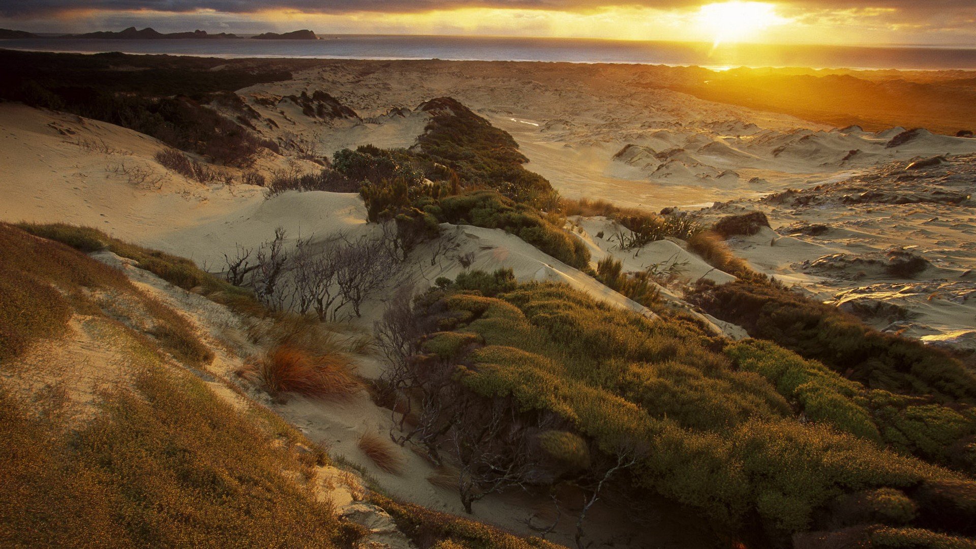 Download Nature Sunset HD Wallpaper