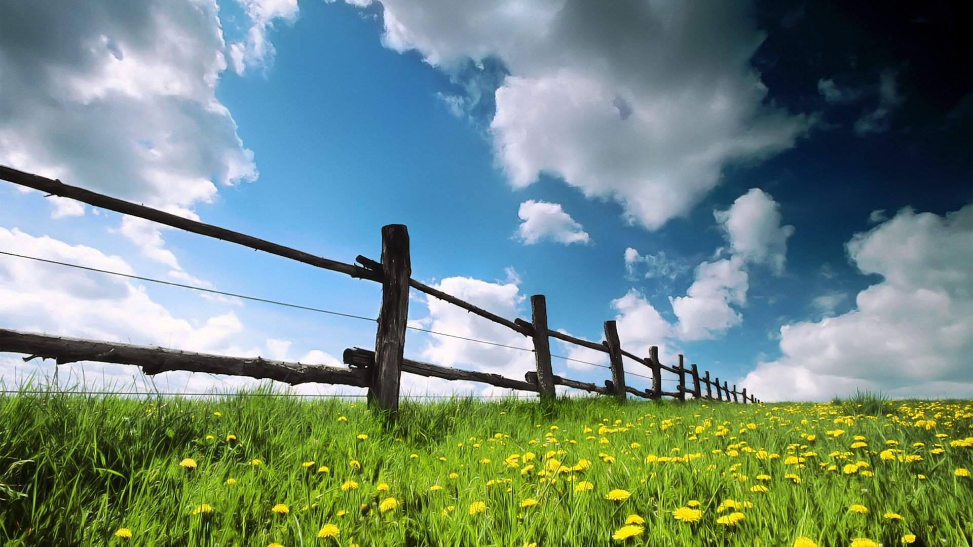 Fence HD Wallpaper.