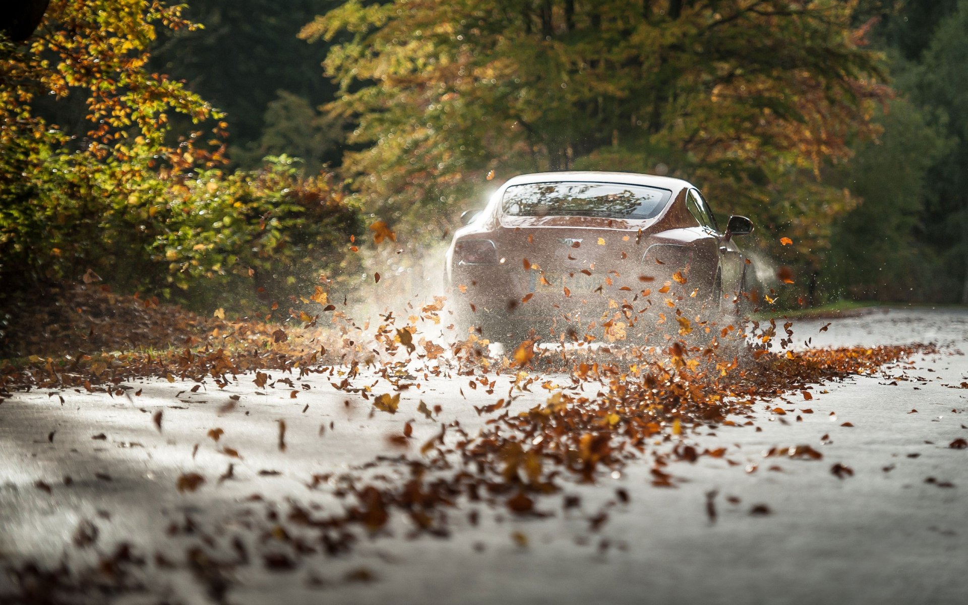 Download Vehicle Bentley Continental GT HD Wallpaper