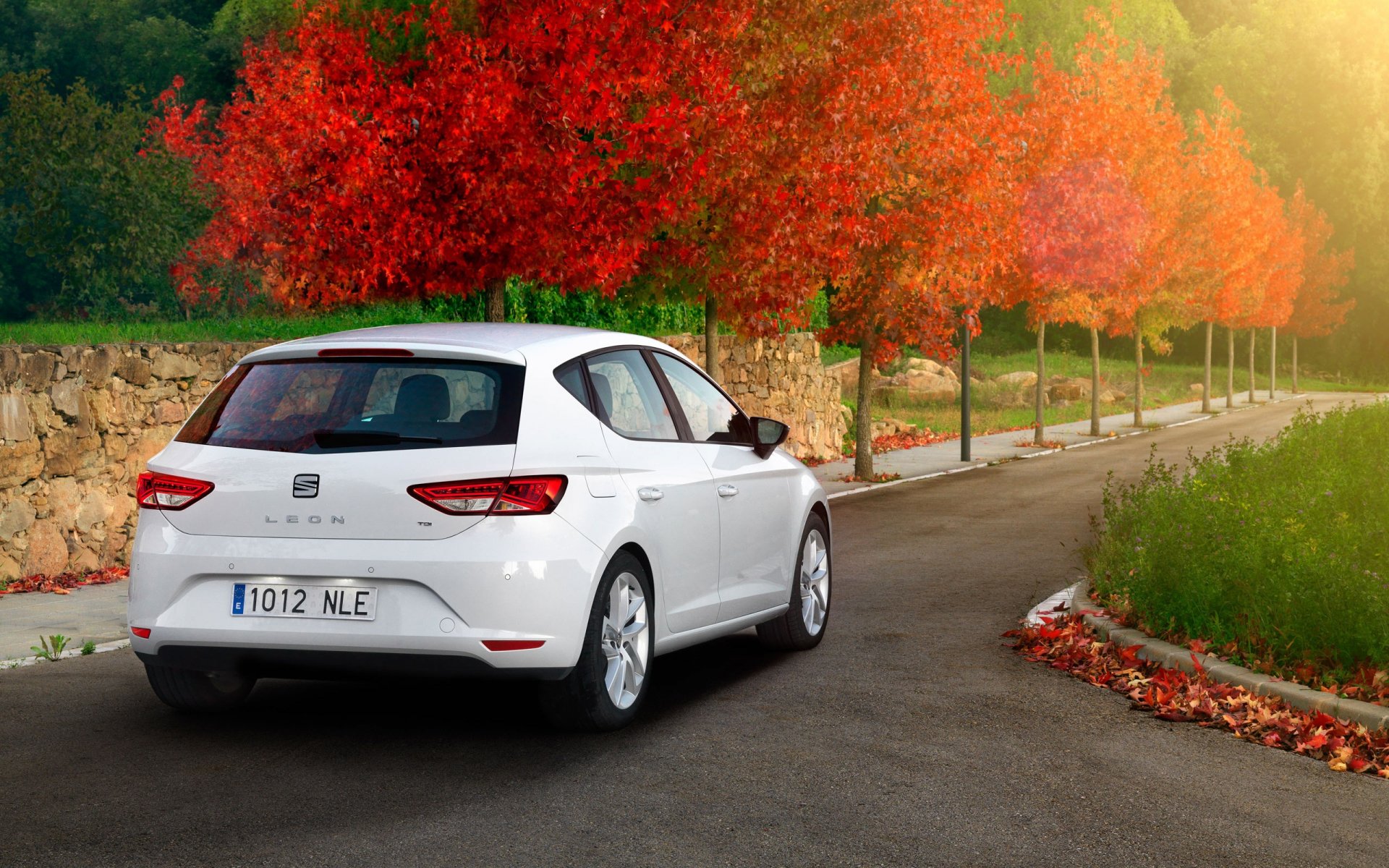 Download Vehicle 2012 Seat Leon HD Wallpaper