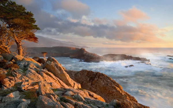 Nature coastline HD PC desktop wallpaper: sunlit rocky cliffs with windswept trees and crashing waves beneath pastel sunrise clouds.