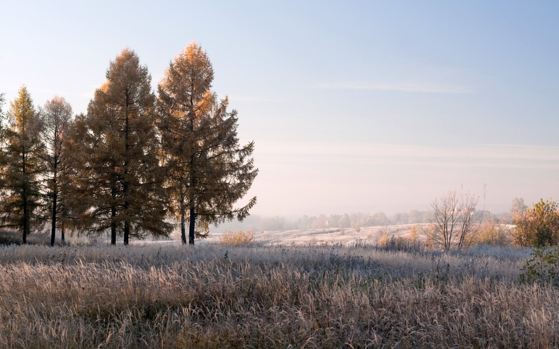 Download Nature Scenic HD Wallpaper