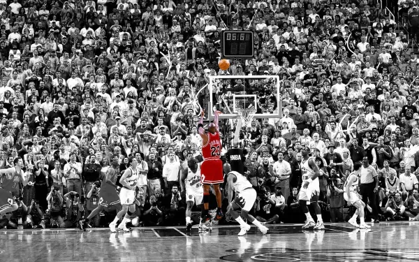 Chicago Bulls Sports HD Desktop Wallpaper | Background Image