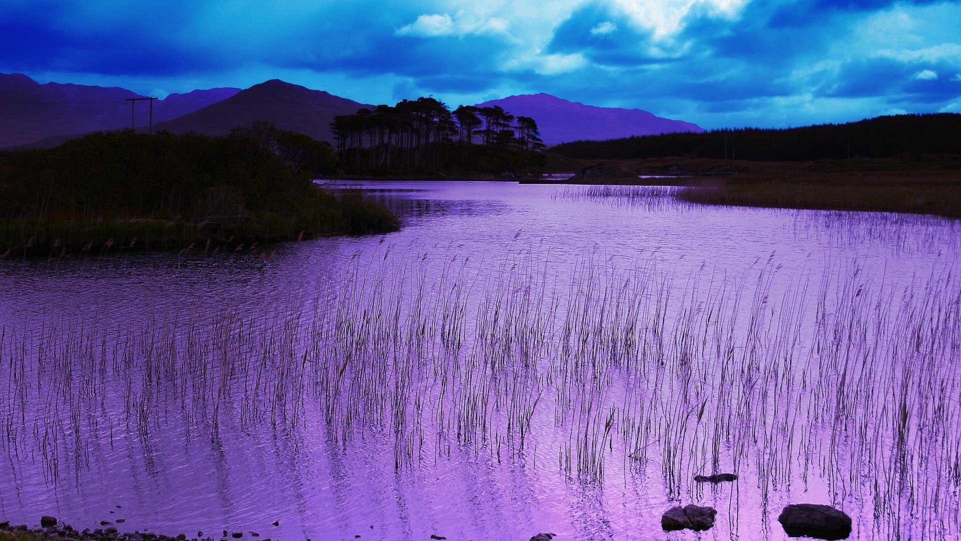 A serene river flows through a tranquil landscape, with purple hues reflecting in the water and surrounding reeds, set against a backdrop of distant mountains and moody clouds.