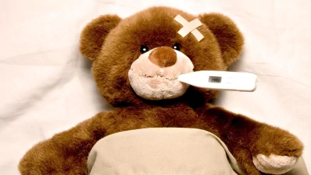 man made stuffed animal HD Desktop Wallpaper | Background Image