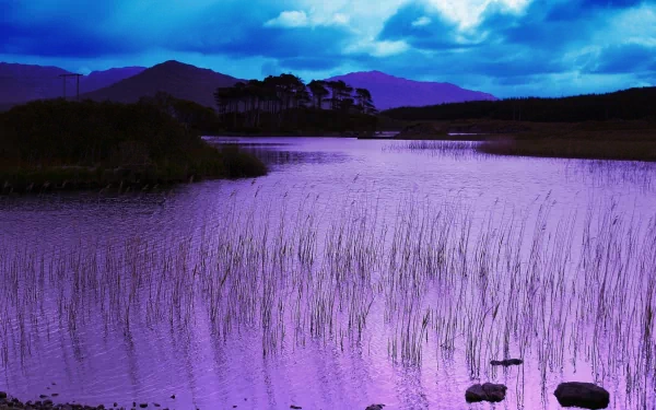 A serene river flows through a tranquil landscape, with purple hues reflecting in the water and surrounding reeds, set against a backdrop of distant mountains and moody clouds.