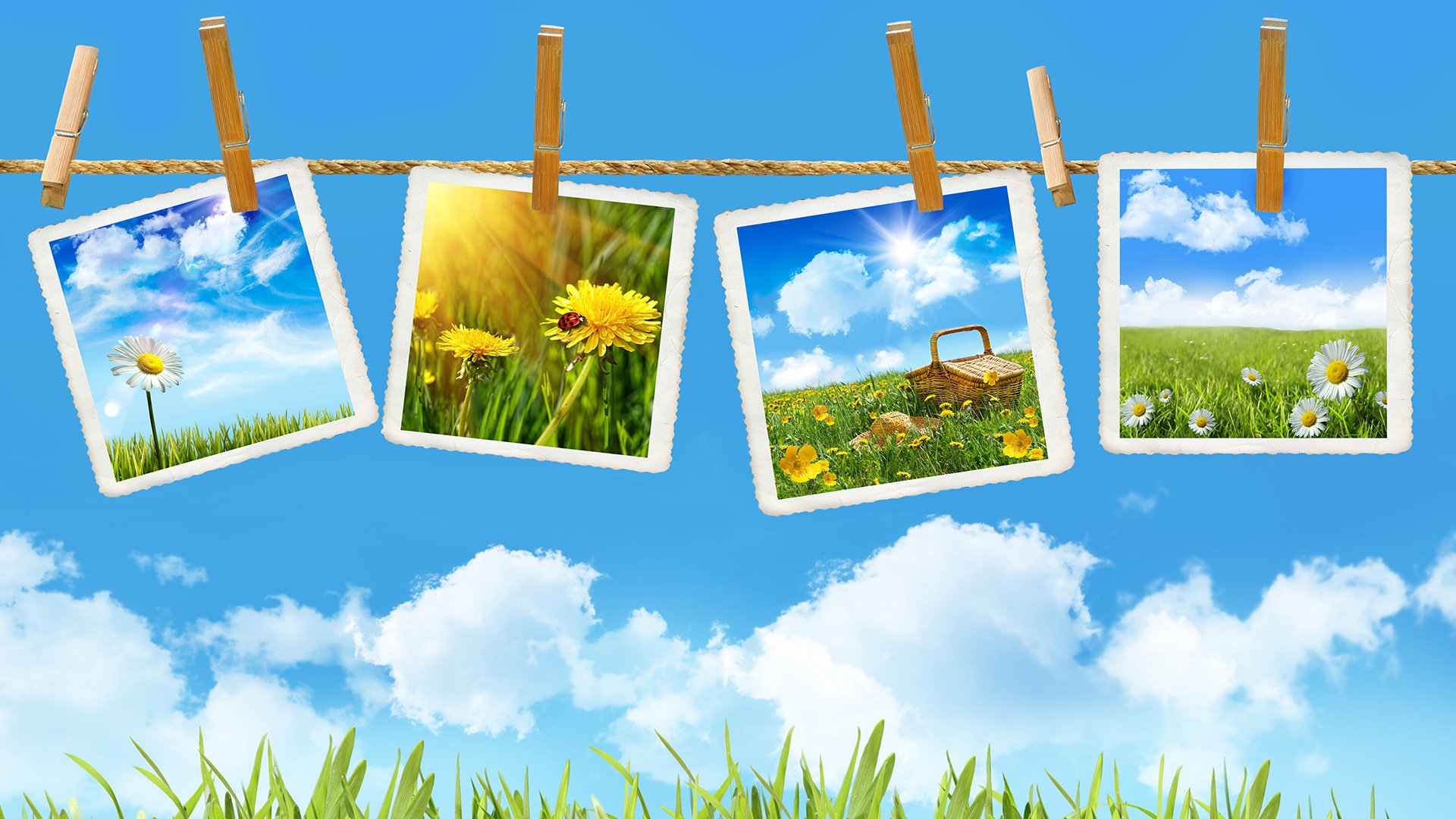 Artistic summer HD PC desktop wallpaper/background: Polaroid photos of daisies, sunflowers and a picnic hung on a clothesline against a bright blue sky with fluffy clouds and grassy foreground.