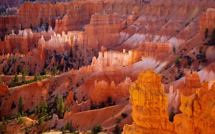 canyon nature Bryce Canyon National Park HD Desktop Wallpaper | Background Image