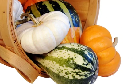 HD PC desktop wallpaper of assorted pumpkins and gourds (white, green-striped, orange) spilling from a tipped wooden basket on a white background.