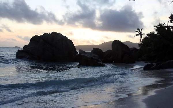 HD PC desktop wallpaper and background: tropical beach landscape with palm tree, sand and rocky shoreline meeting the calm ocean at sunset, nature photography.