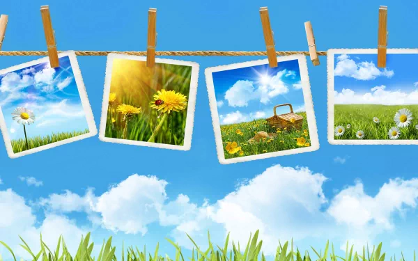 Artistic summer HD PC desktop wallpaper/background: Polaroid photos of daisies, sunflowers and a picnic hung on a clothesline against a bright blue sky with fluffy clouds and grassy foreground.