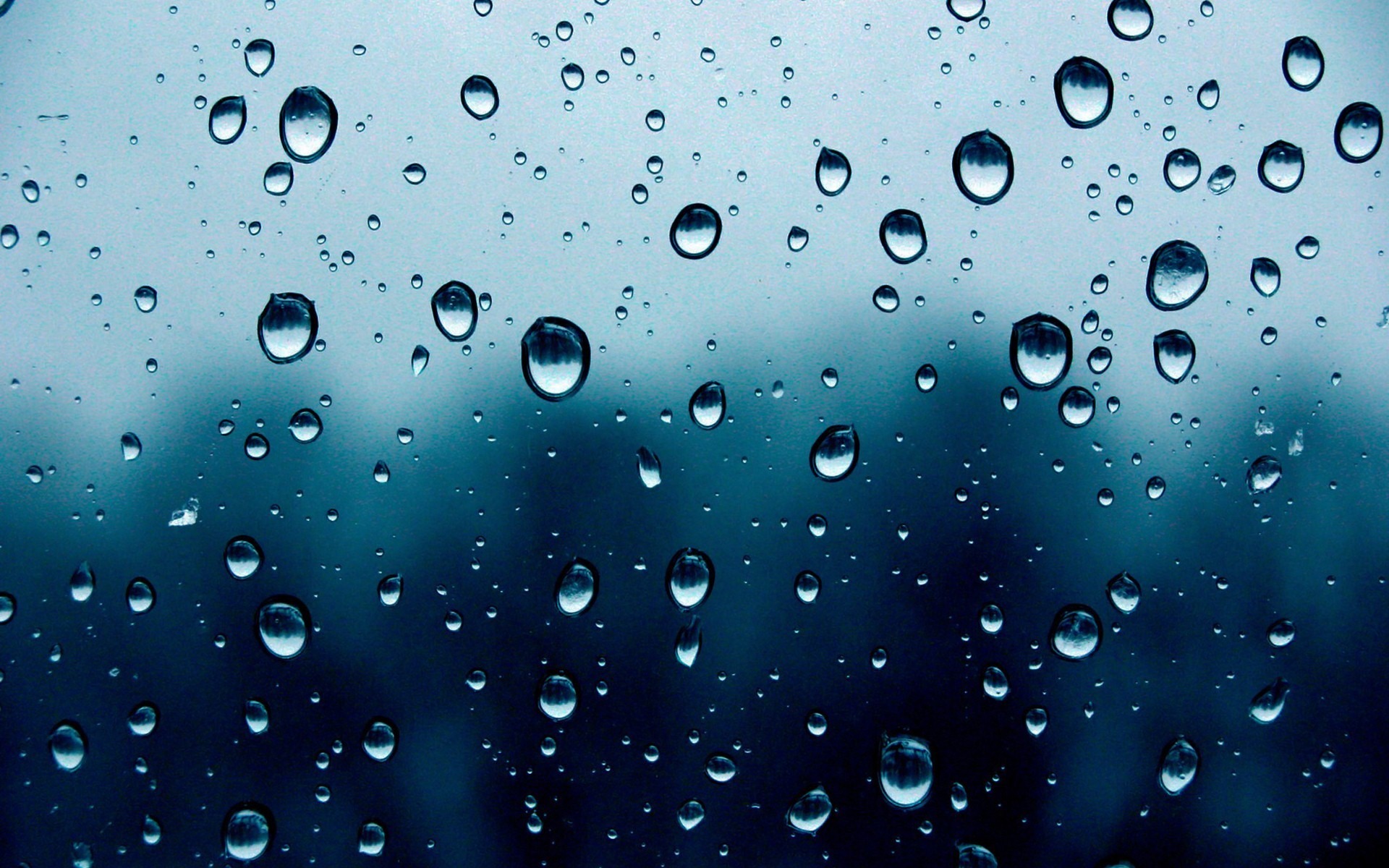Photography Raindrops HD Wallpaper | Background Image