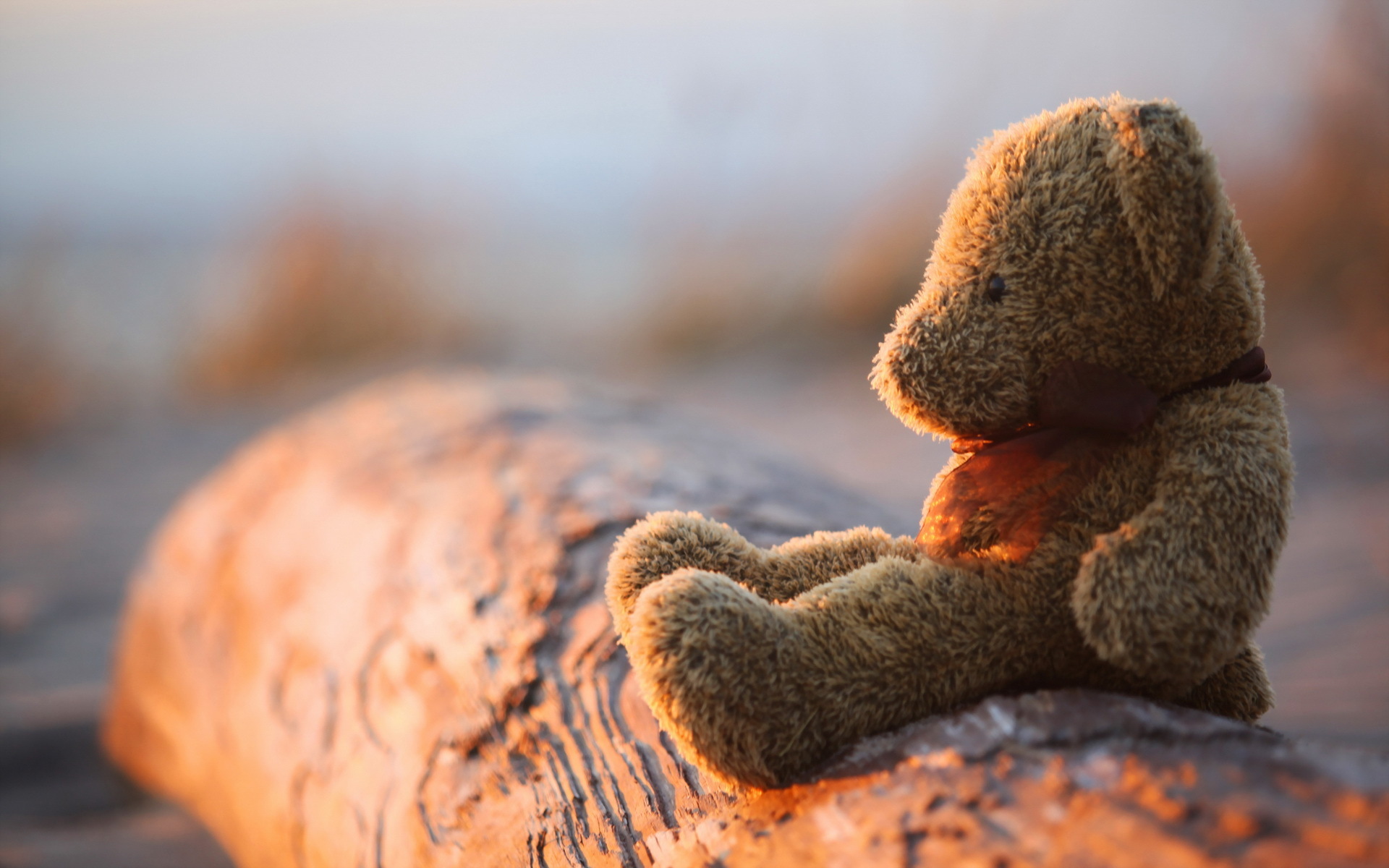 Alone teddy bear sales wallpaper