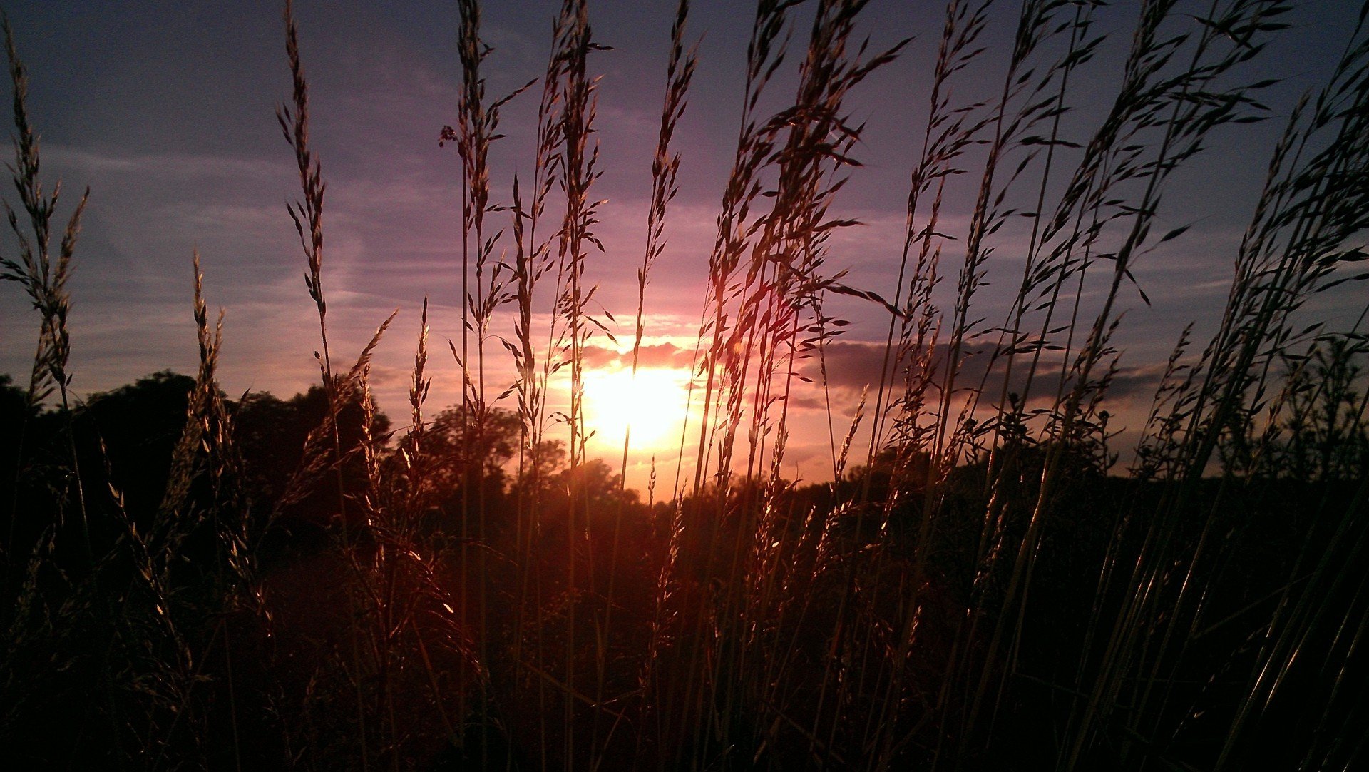 Download Nature Sunset HD Wallpaper