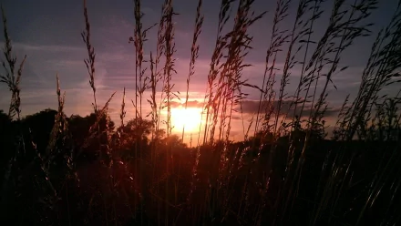 nature sunset HD Desktop Wallpaper | Background Image