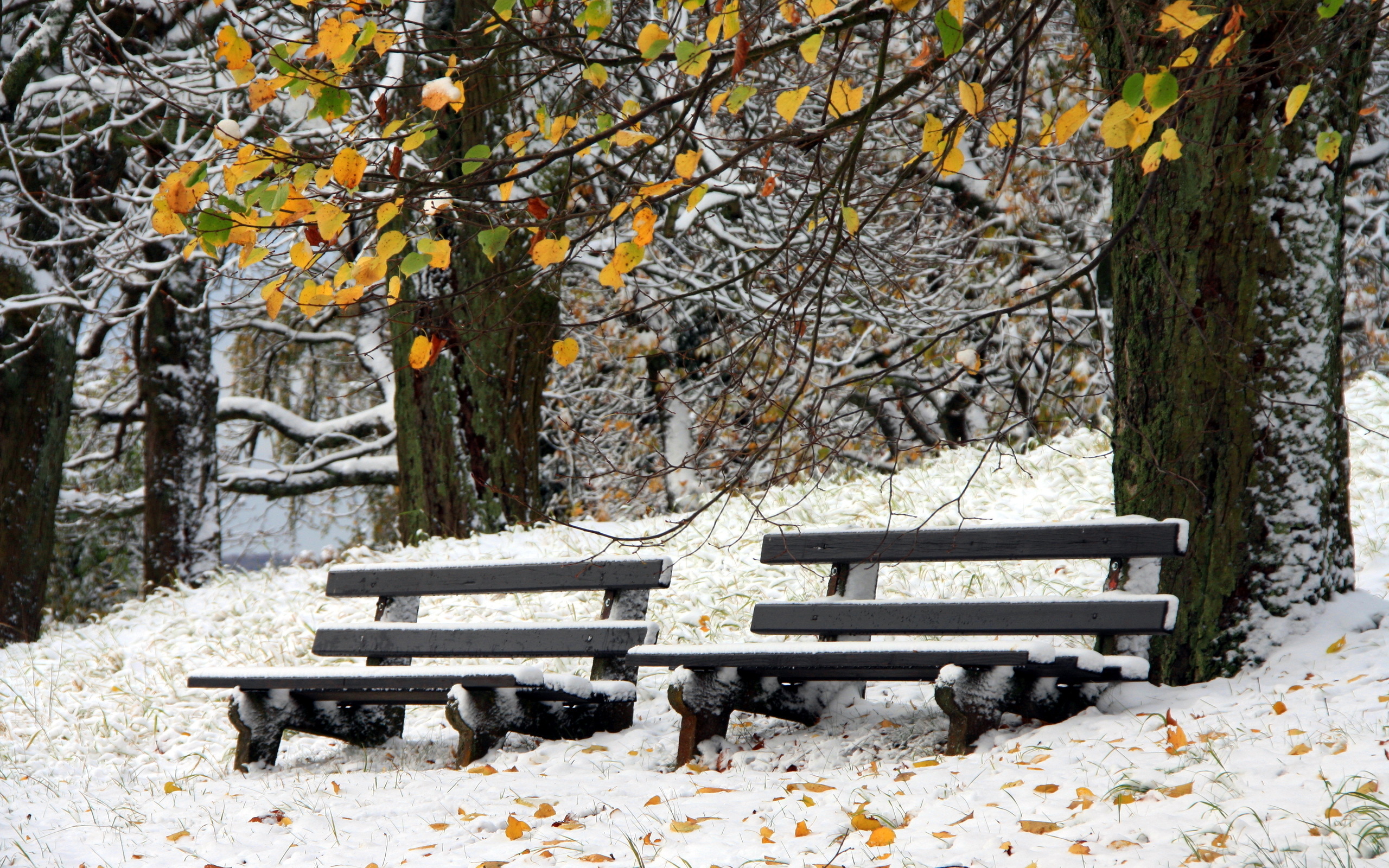 Man Made Bench HD Wallpaper
