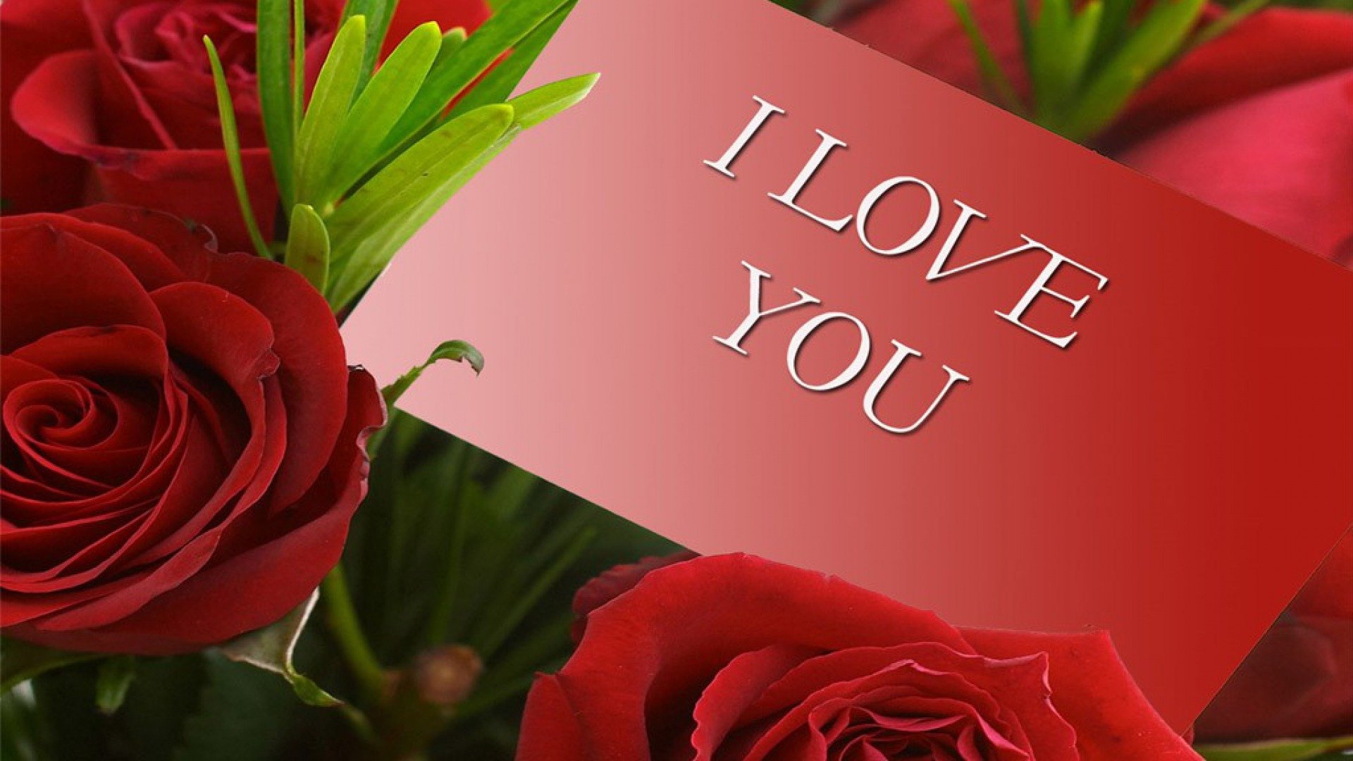 HD PC desktop wallpaper featuring red roses and a card with I LOVE YOU text, themed for Valentine's Day holiday.