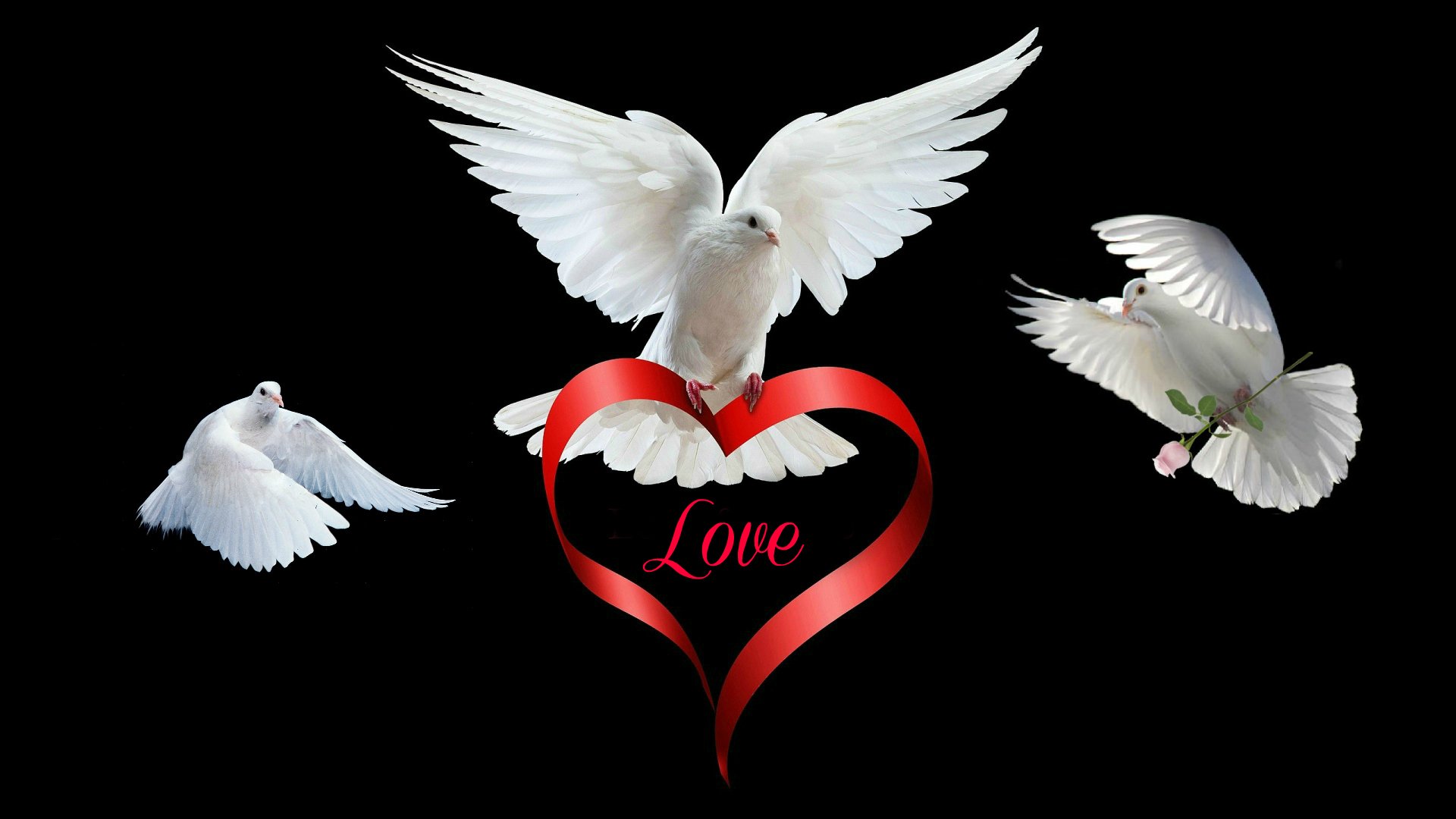HD PC desktop wallpaper featuring three white doves flying around a red heart with Love text, symbolizing Valentine's Day and holiday romance.