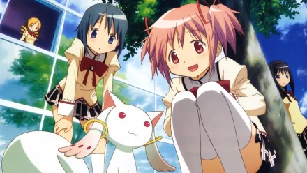 HD PC wallpaper featuring Kyuubey, Sayaka Miki, Mami Tomoe, Madoka Kaname, and Homura Akemi from the anime Puella Magi Madoka Magica in an outdoor scene.