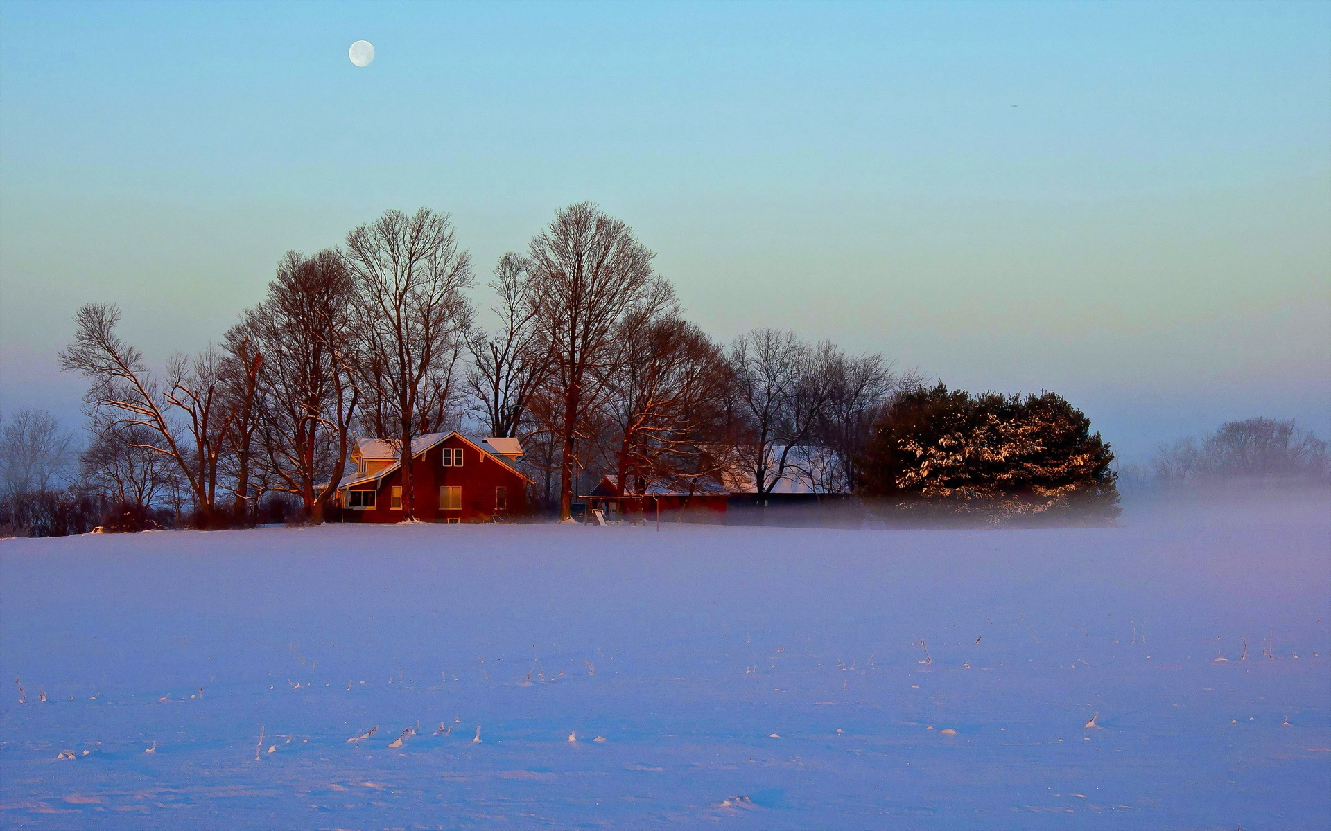 Winter HD Wallpaper | Background Image | 1920x1200 | ID:361474